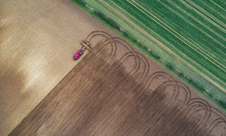 agriculture