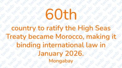 Did you know? 031025