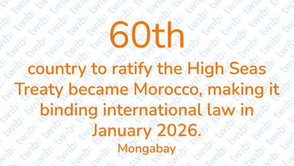 Did you know? 031025