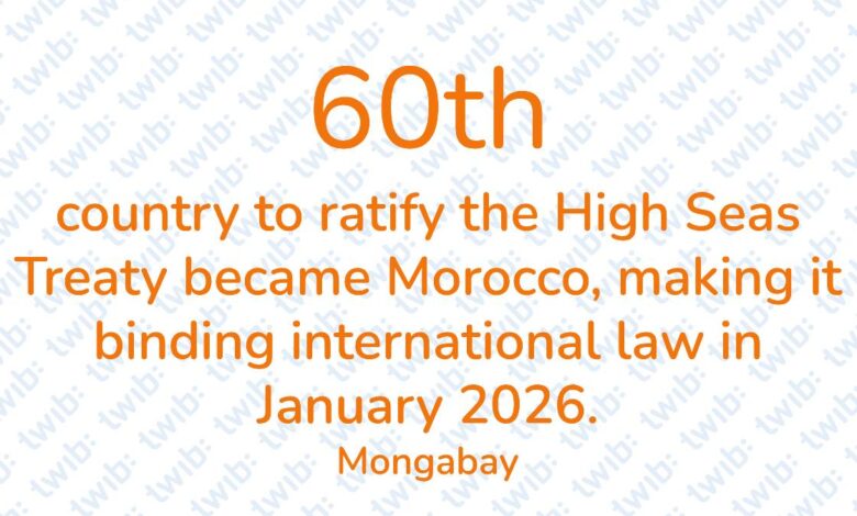 Did you know? 031025
