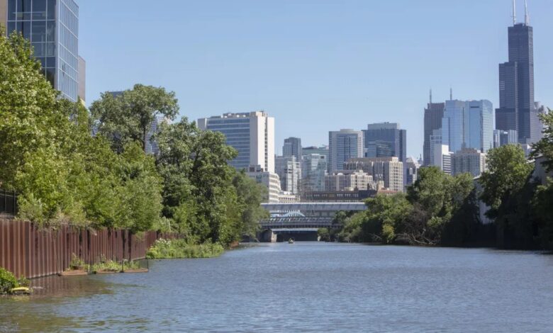 Chicago River