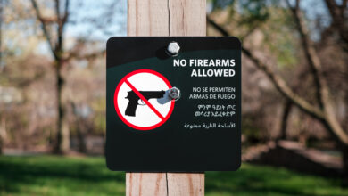 No Firearms Allowed Sign at Park
