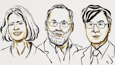 Nobel price for medicine 2025