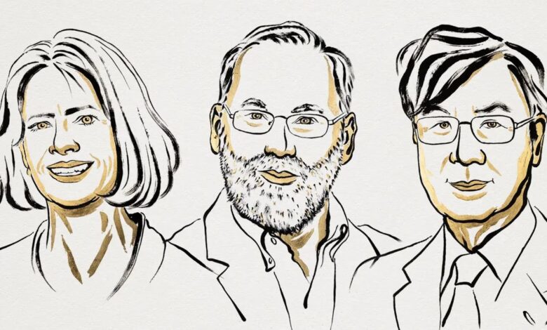 Nobel price for medicine 2025