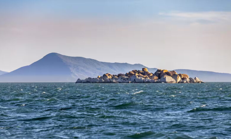Huge granite cairns at Cape Melville