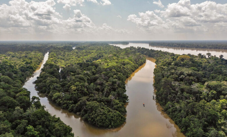 The Curare-Los Ingleses Indigenous Reserve in the Colombian Amazon