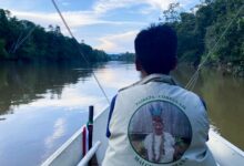 Indigenous Guardian Amazon