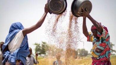 Farmer in Nigeria