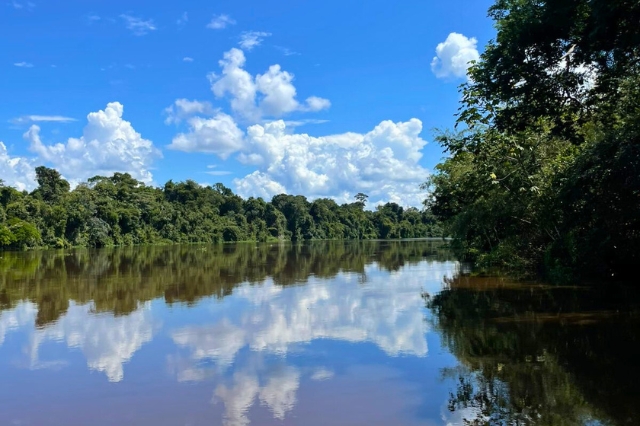 The Negro River, Amazon, Bolivia