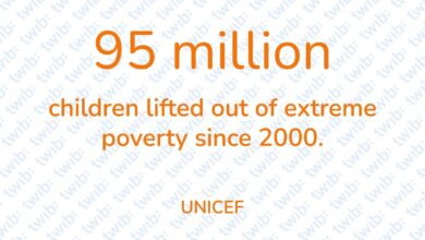 Did you know? 051225