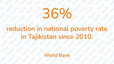 Did you know? 191225