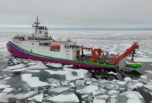 NEWS 12 November 2025 Chinese researchers reveal unexplored section of mysterious Arctic Ocean ridge Oceanographers hope to find otherworldly ecosystems at hydrothermal vents on the seafloor. By Alexandra Witze Twitter Facebook Email An elevated view of the Fendouzhe submersible (at right) going off the back of the icebreaker (at left) into a sea of broken ice. The submersible Fendouzhe being deployed off a Chinese icebreaker in the Arctic Ocean