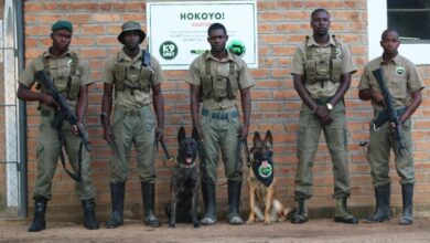 Murwi and Shinga have given Imire's anti-poaching unit an extra dimension