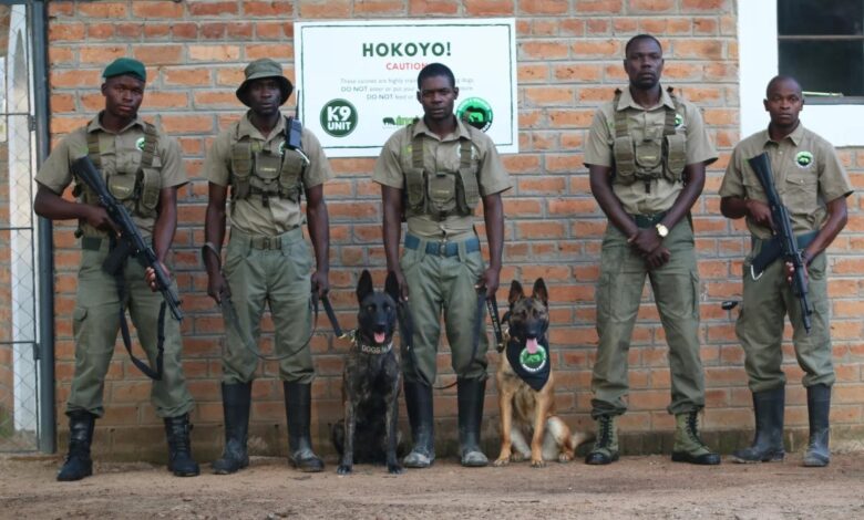 Murwi and Shinga have given Imire's anti-poaching unit an extra dimension