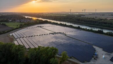 Solar panels and wind turbines