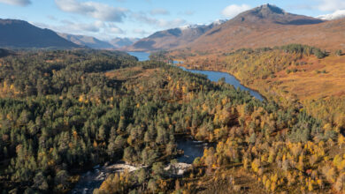 Glen Affric