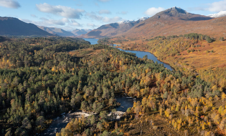Glen Affric