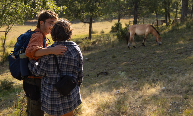 Guests of nature tourism business, El Observario, with a guest looking at a przewalski's horse. Iberian Highlands, Spain.