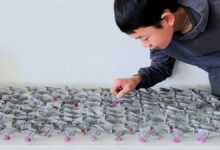 Miles Wu, 14, from New York City