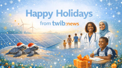 Final Happy Holidays