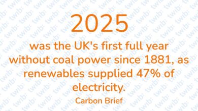 Did you know? 190126