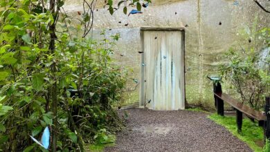 Pierella was one of the first butterfly breeders in Costa Rica to adopt sustainable methods