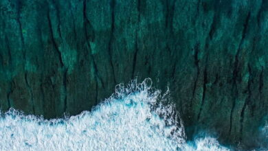 A Samoan coral reef from the air