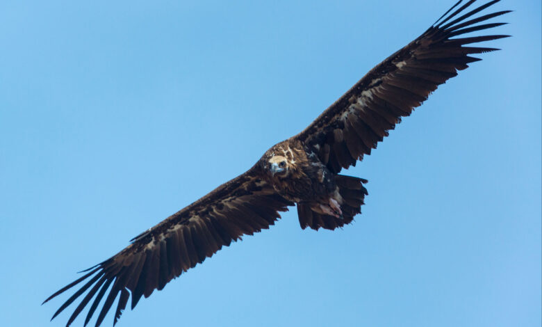 JUAN CARLOS MUÑOZ ROBREDO
