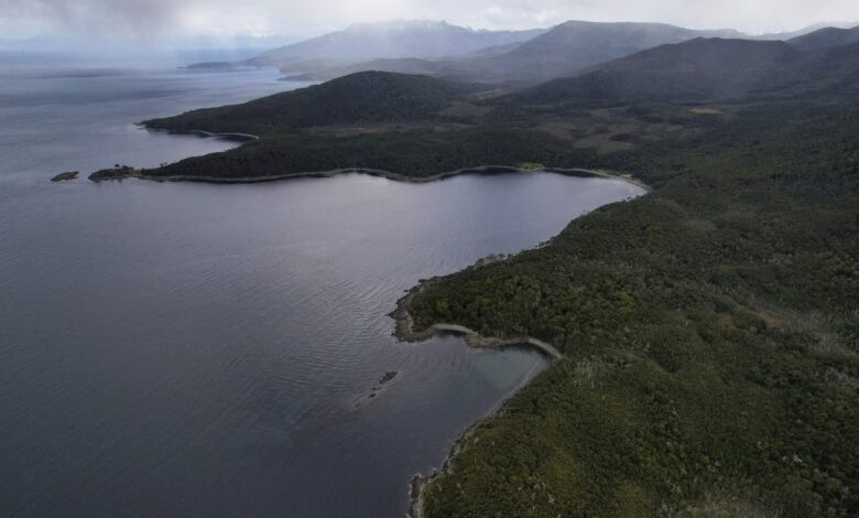 Southern Chilean coastline