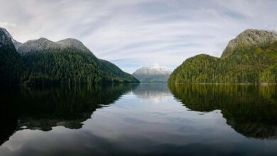 Snow-kissed mountains plunge into the sea along a dramatic fjord west of Bella Coola on British Columbia’s remote central coast