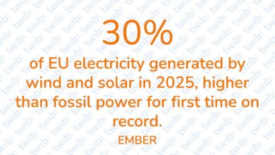 Did you know? 060226