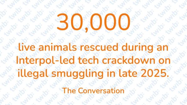 Did you know? 200226