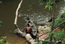 Indigenous peoples Amazon