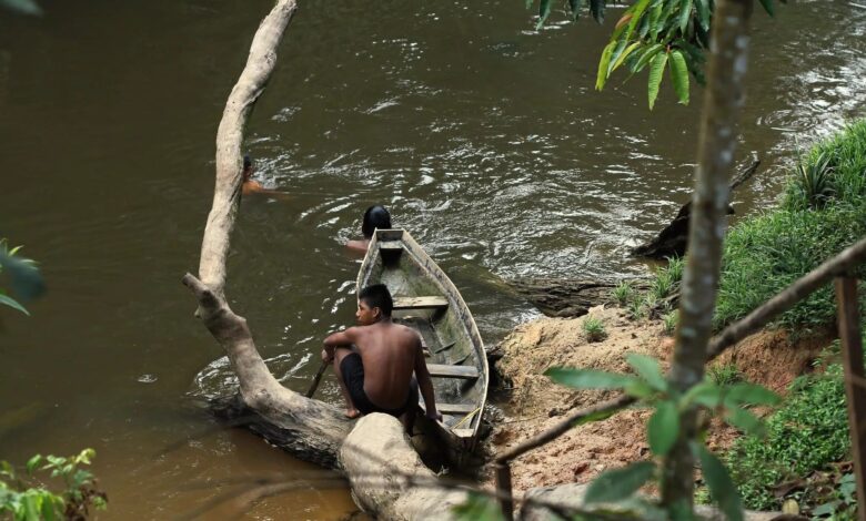 Indigenous peoples Amazon