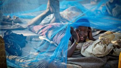 A child peeps from under a mosquito net.