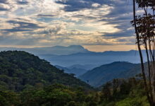 he Andes-Amazon transition in Gran Paitití de Mapiri