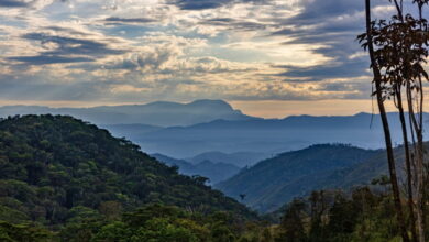 he Andes-Amazon transition in Gran Paitití de Mapiri