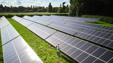 Engineers inspect solar panels in a field