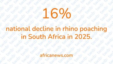 Did you know? 060326