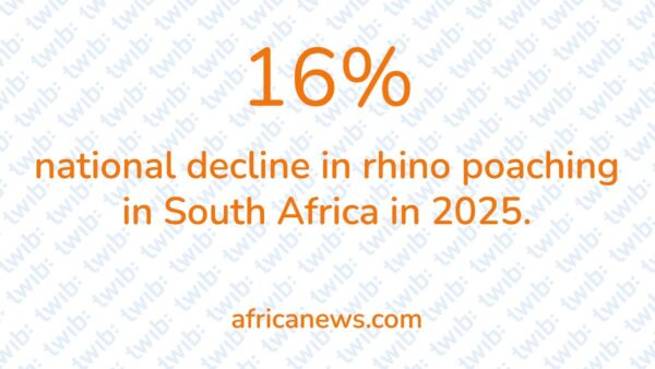 Did you know? 060326