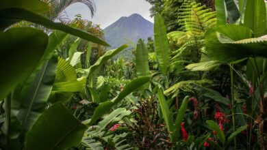A view of Arenal Volcano in La Fortuna, Costa Rica