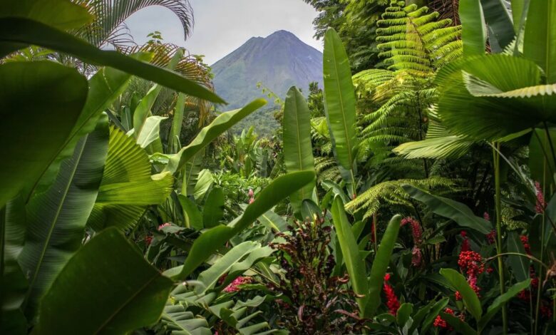 A view of Arenal Volcano in La Fortuna, Costa Rica
