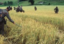 Soldiers from the Yugoslavian Federation Army check for land mines at the Slovenia/Croatia border