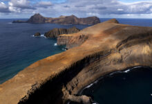 Ocean protection Chile