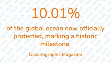 Did you know? 100426