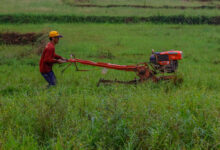 Philippine Farmers Struggles Every Rainy Season