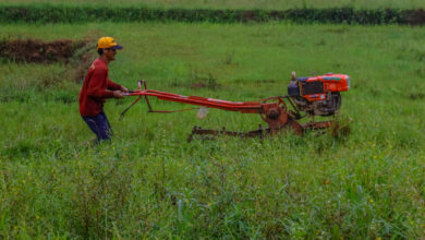 Philippine Farmers Struggles Every Rainy Season