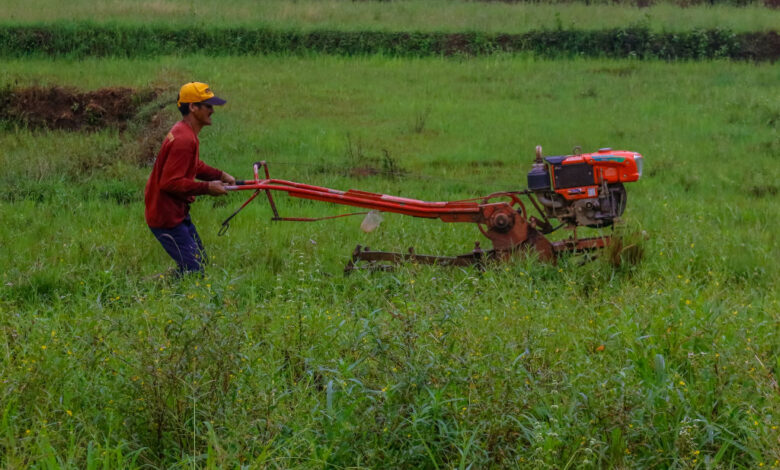Philippine Farmers Struggles Every Rainy Season