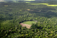 Deforestation area at Amazon rainforest