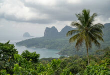 Panoramic view of the coastal mountains full of vegetation